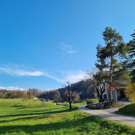 M&M Apartment Zgornje Gorje Exterior foto